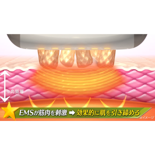 MEミニョンボディ 1台 | テレビ通販サイトのカンテレSHOPPING